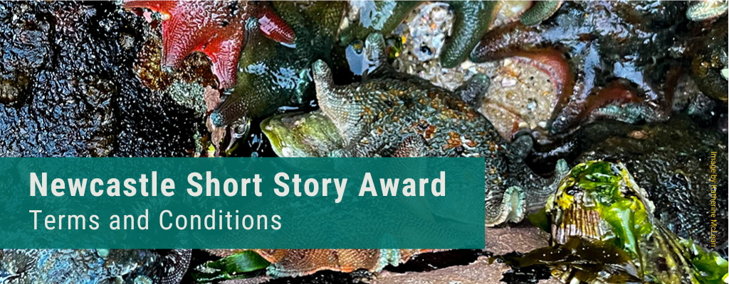 Close-up of colourful sea stars in a tide pool with the text 'Newcastle Short Story Award - Terms and Conditions."